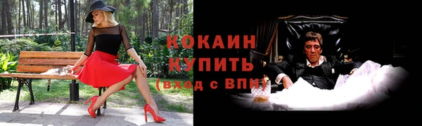 герыч Новозыбков