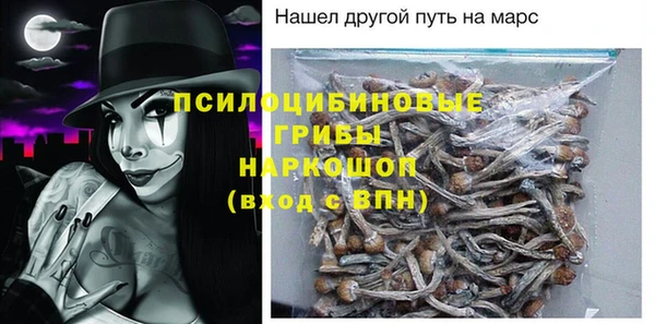 молекула духа Нефтегорск