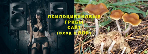 спиды Нея