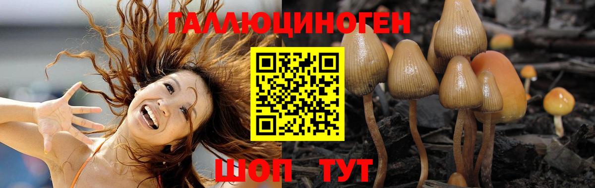 Полевской  Галлюциногенные грибы прущие грибы  Вход с VPN 