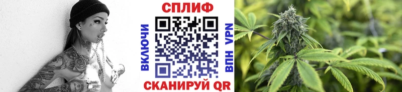 Шишки марихуана сатива Полевской
